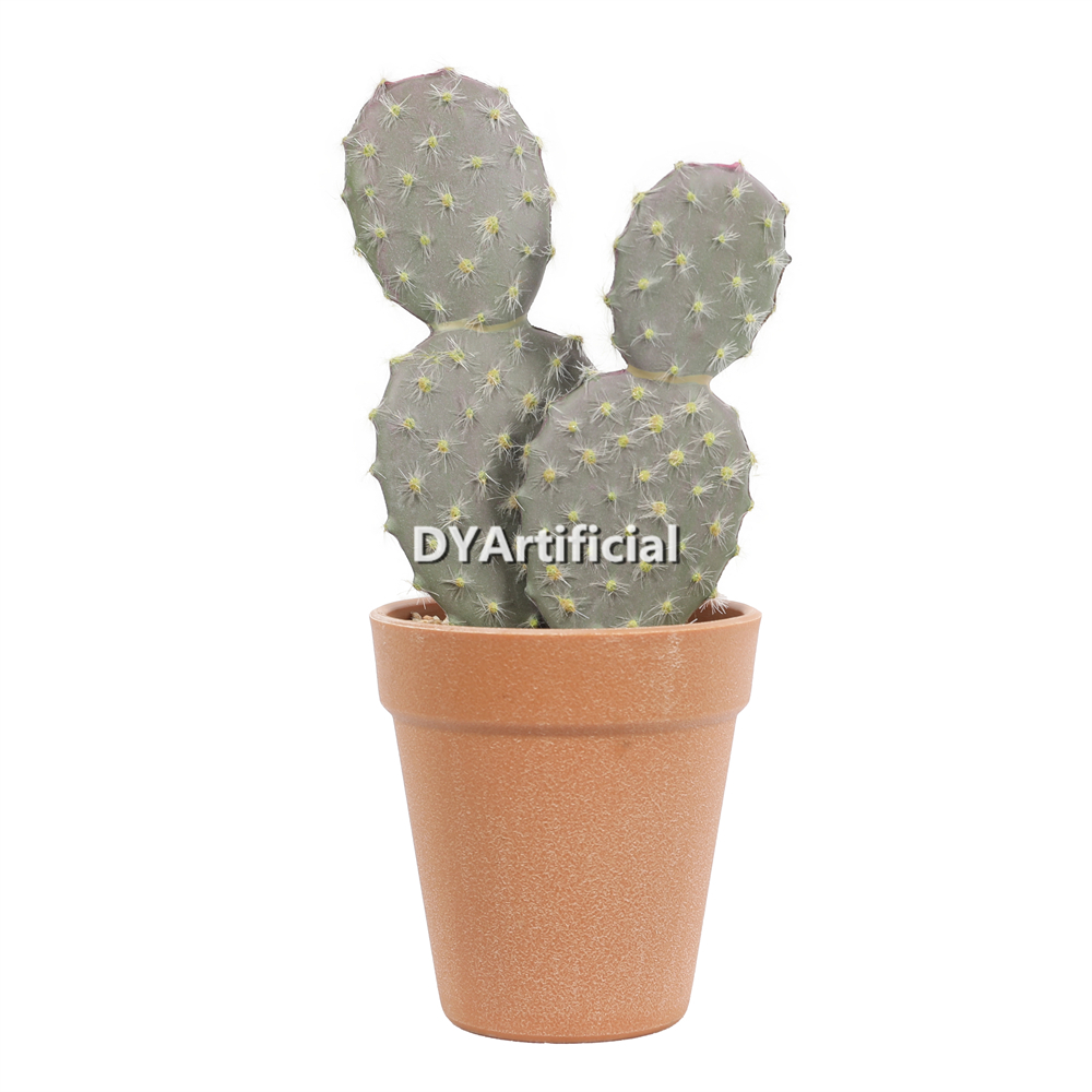 Cactus In Plastic Pot 24CM Height Indoor