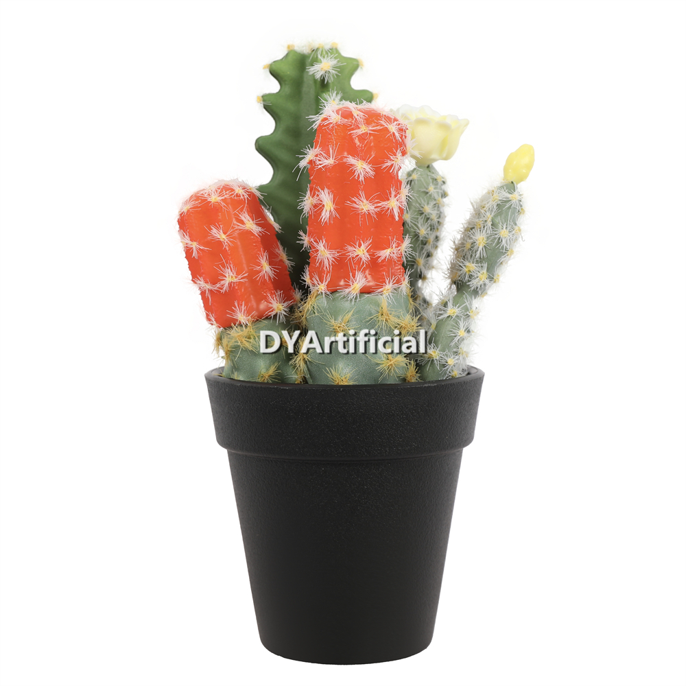 Cuctus In Plastic Pot 17.5CM Height Indoor