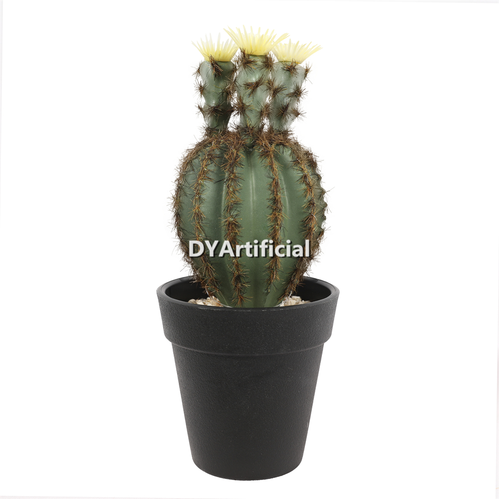 Cactus In Plastic Pot 19CM Height Indoor