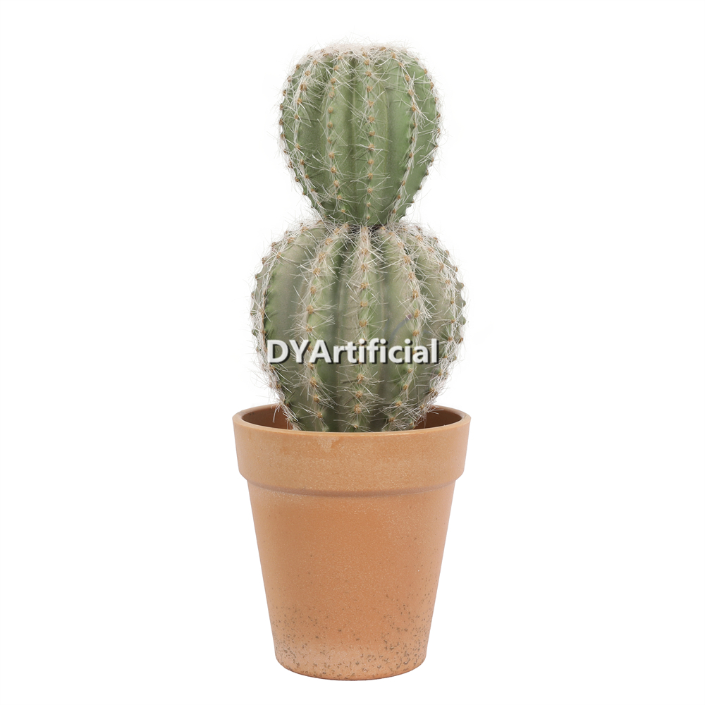 M# Cactus In Plastic Pot 25.5CM Height Indoor