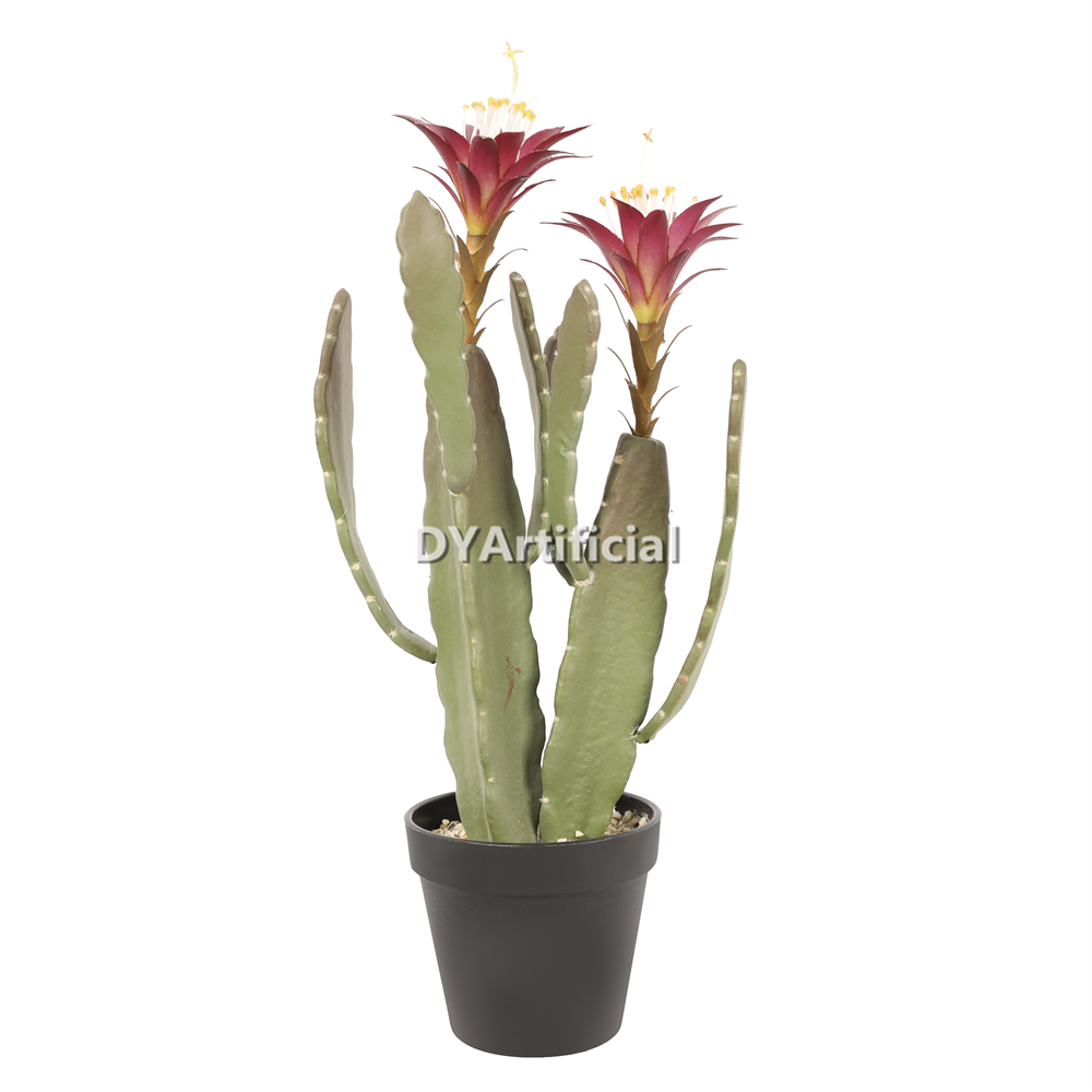 Cactus With Plastic Pot 47CM Height Indoor