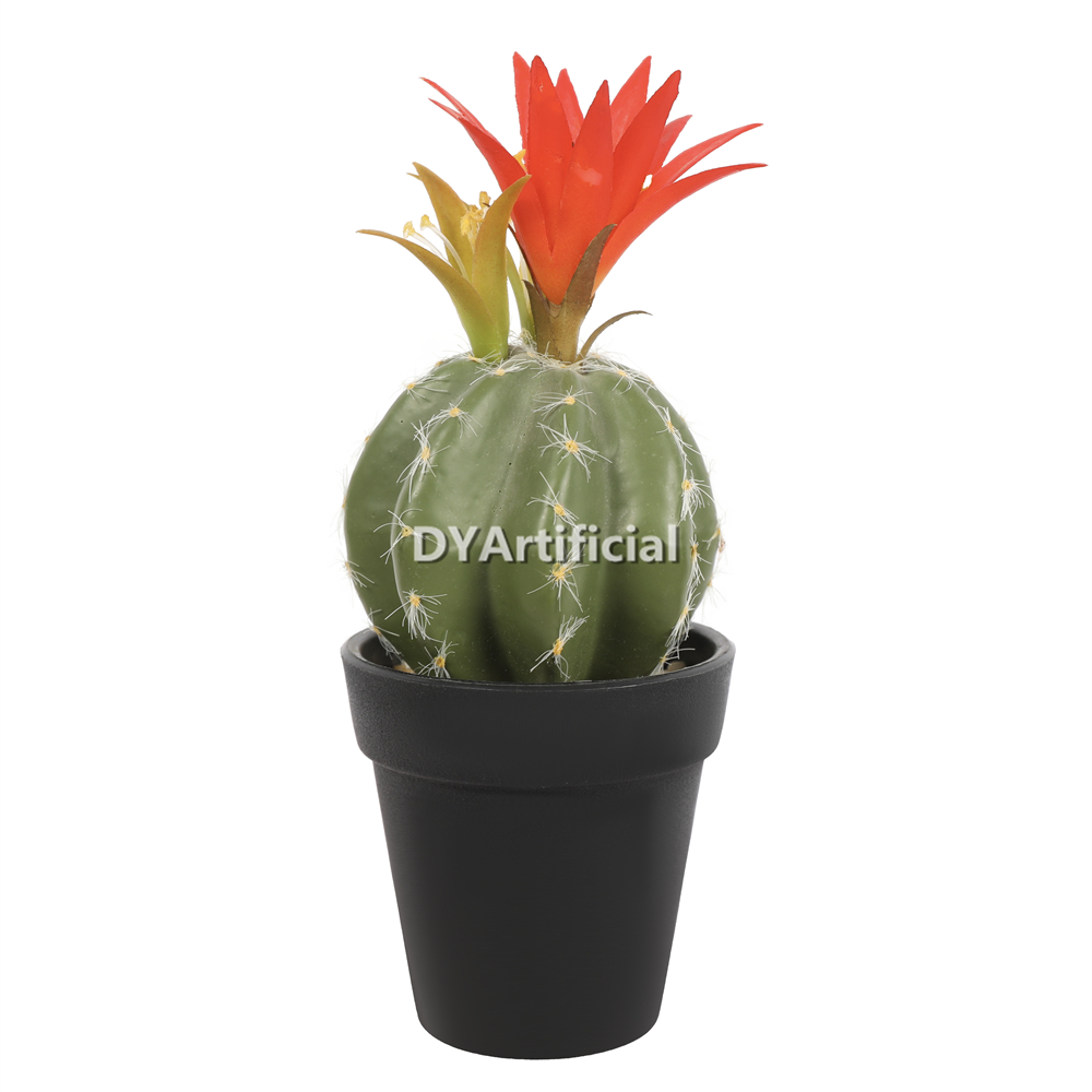 Cactus In Plastic Pot 19CM Height Indoor