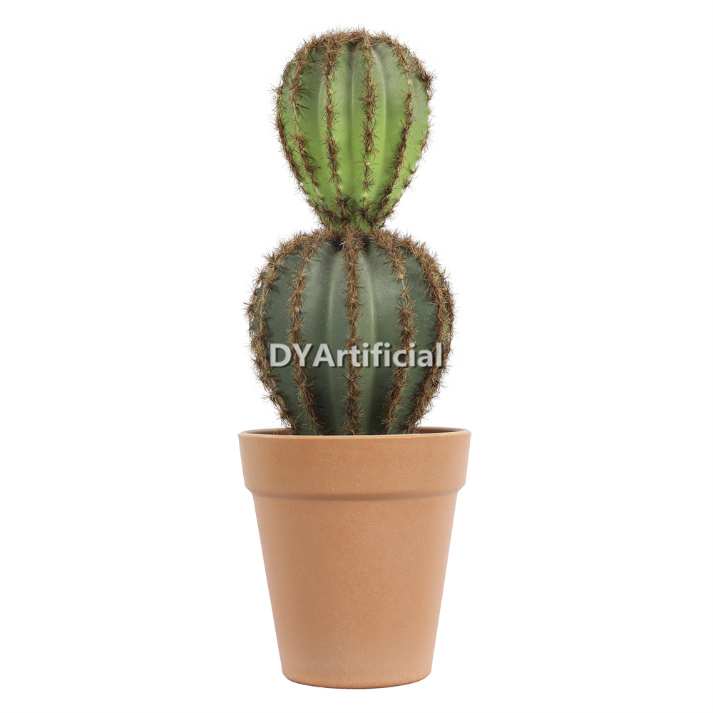 M# Cactus In Plastic Pot 25.5CM Height Indoor