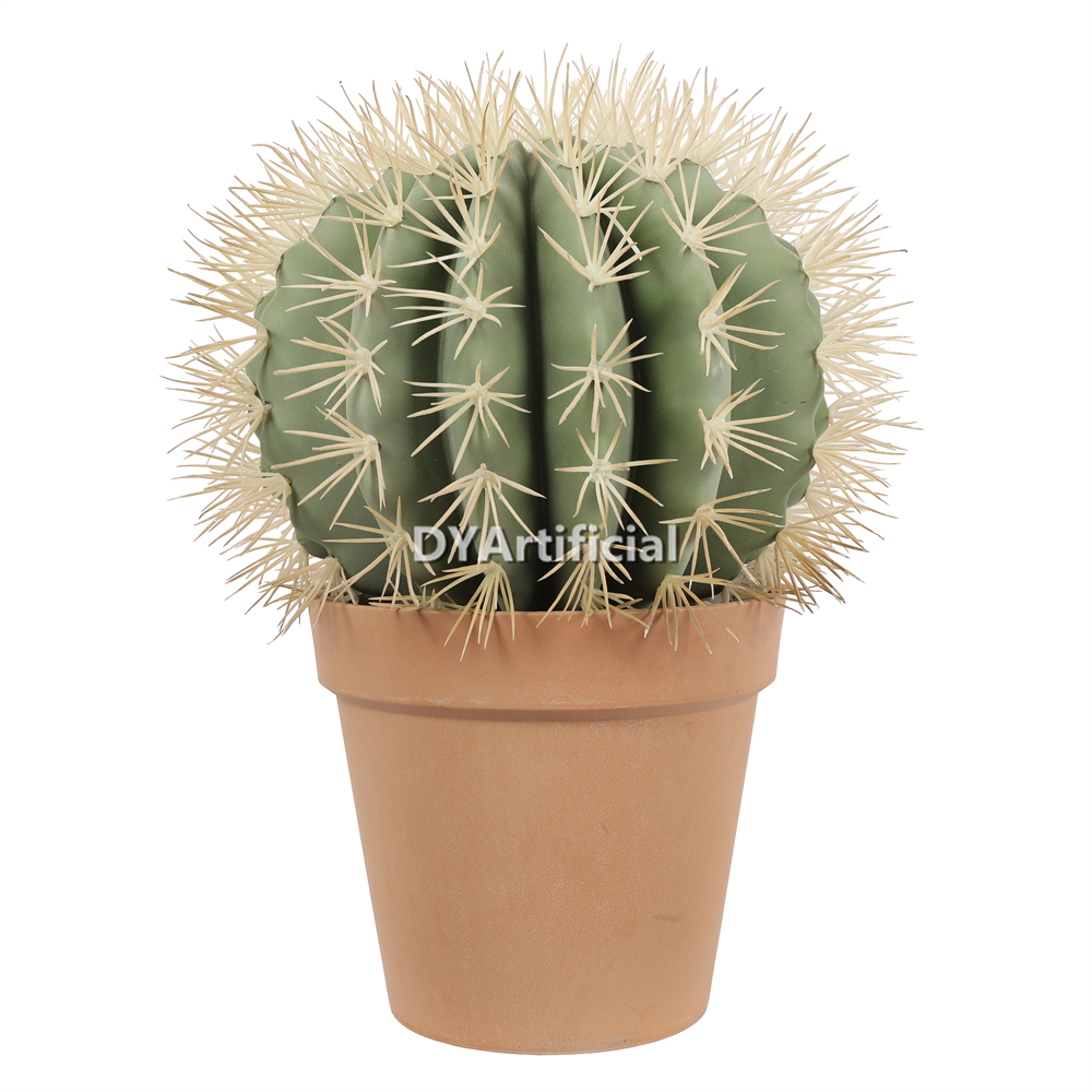 Cactus In Plastic Pot 48CM Height Indoor
