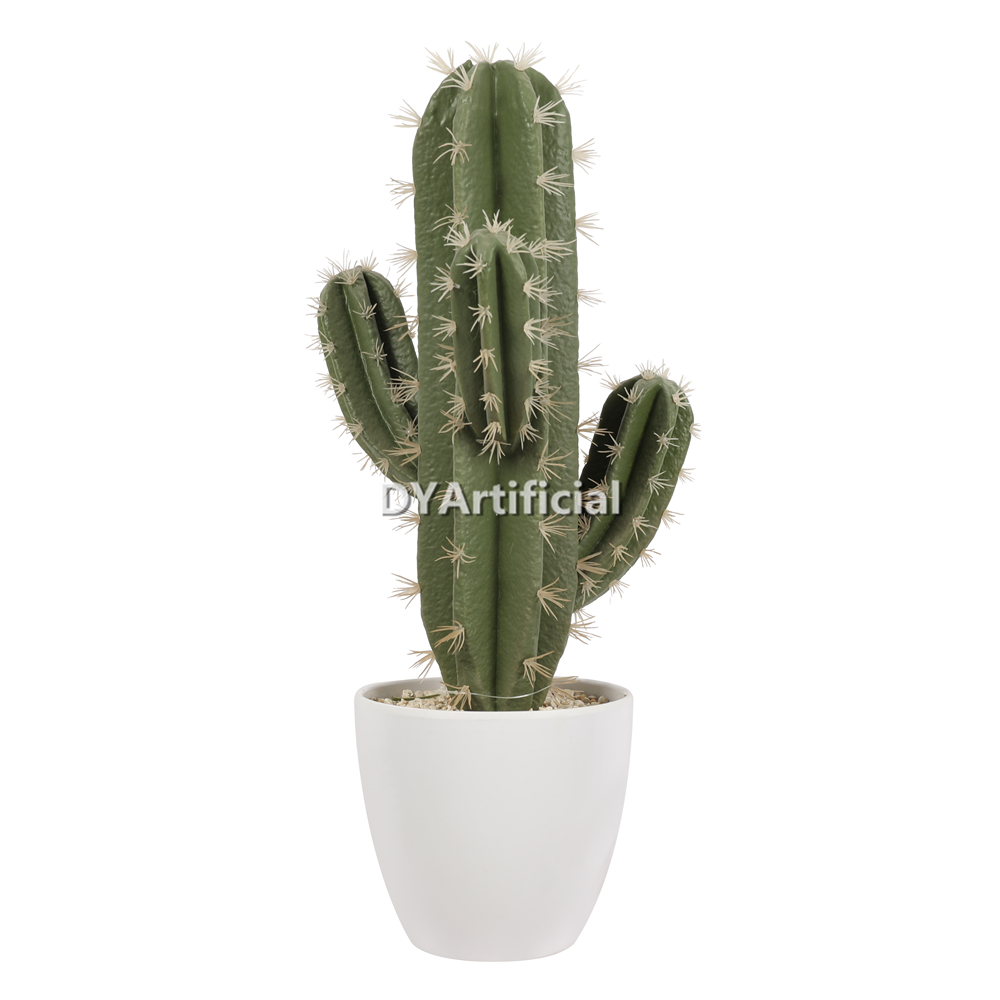 Cactus 46CM Height Indoor