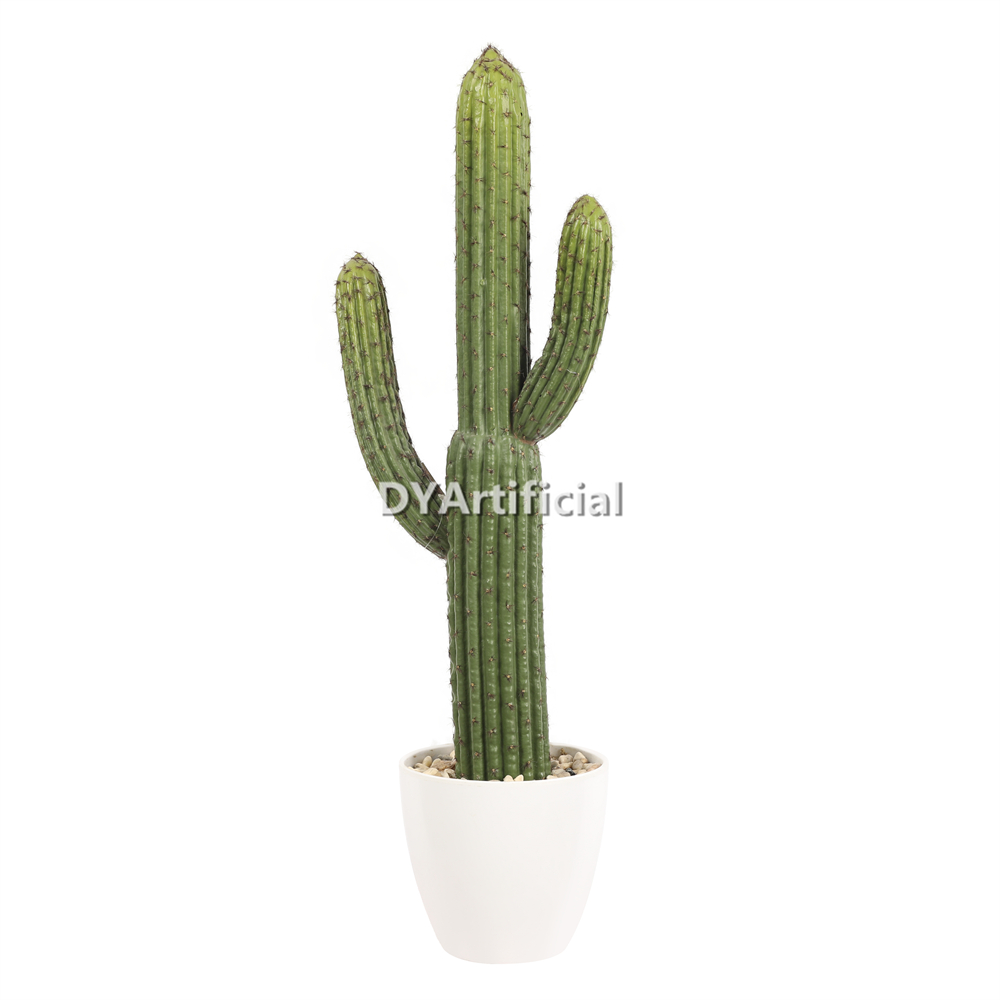 Succulent Plants In Plastic Pot 62CM Height Indoor