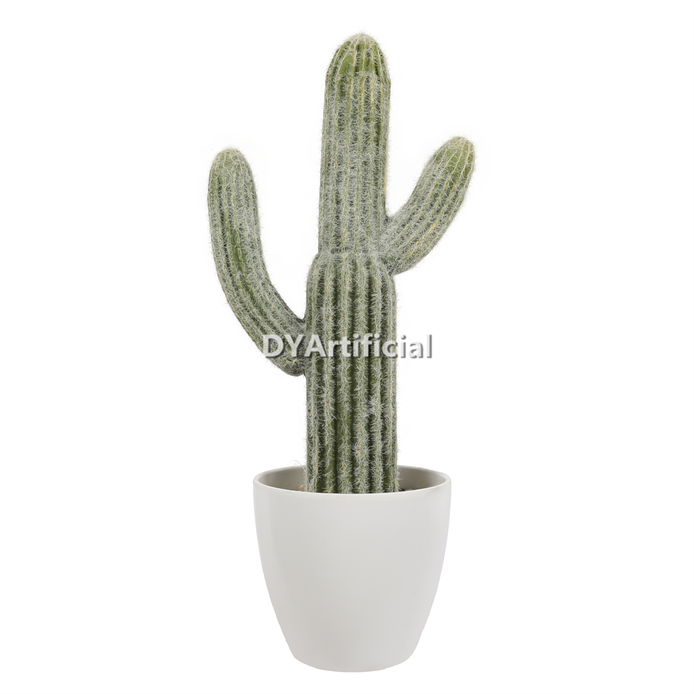 Succulent Plants In Plastic Pot 45CM Height Indoor