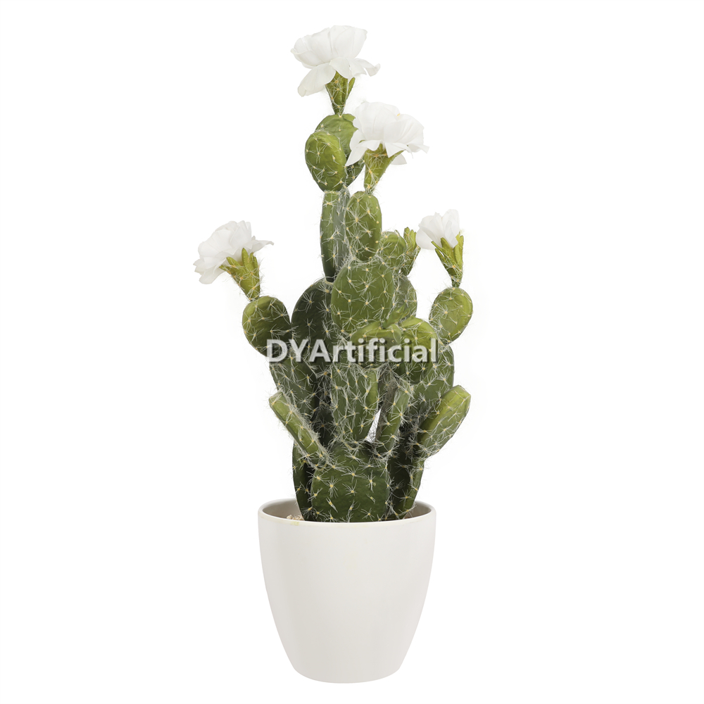 Succulent Plants In Plastic Pot 53CM Height Indoor