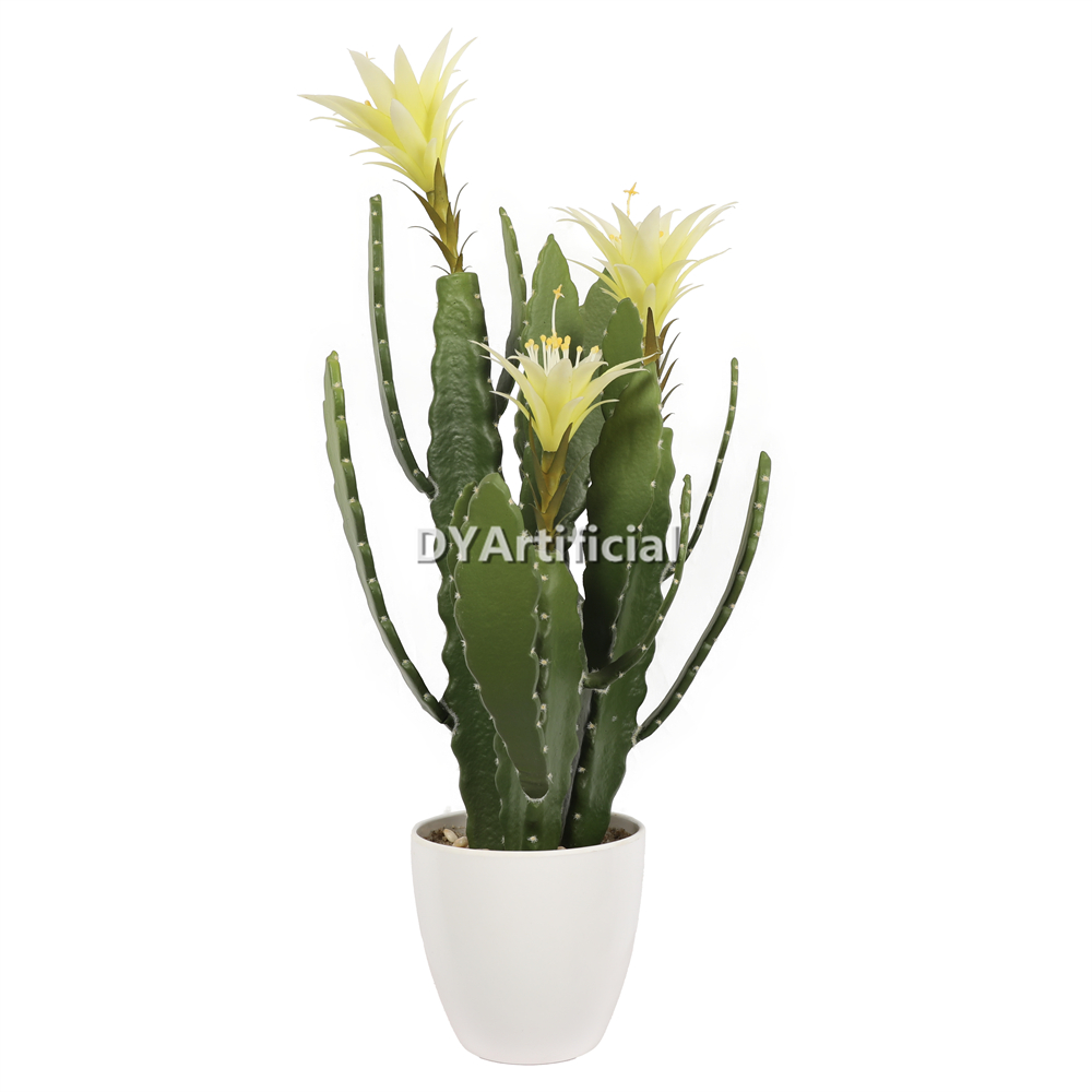 Cactus 60CM Height Indoor