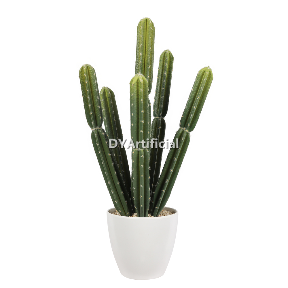 Cactus 65CM Height Indoor