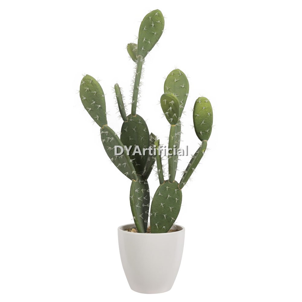 Cactus 60CM Height Indoor