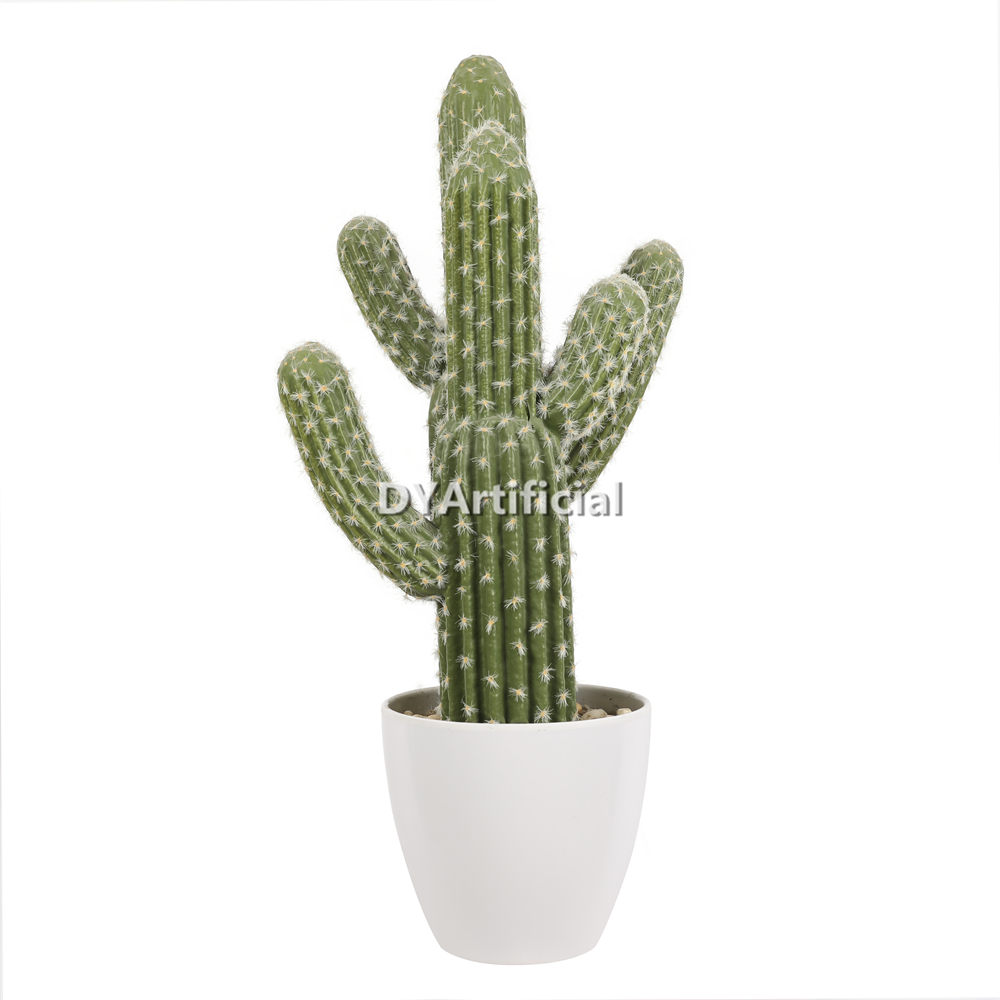 Cactus 48CM Height Indoor