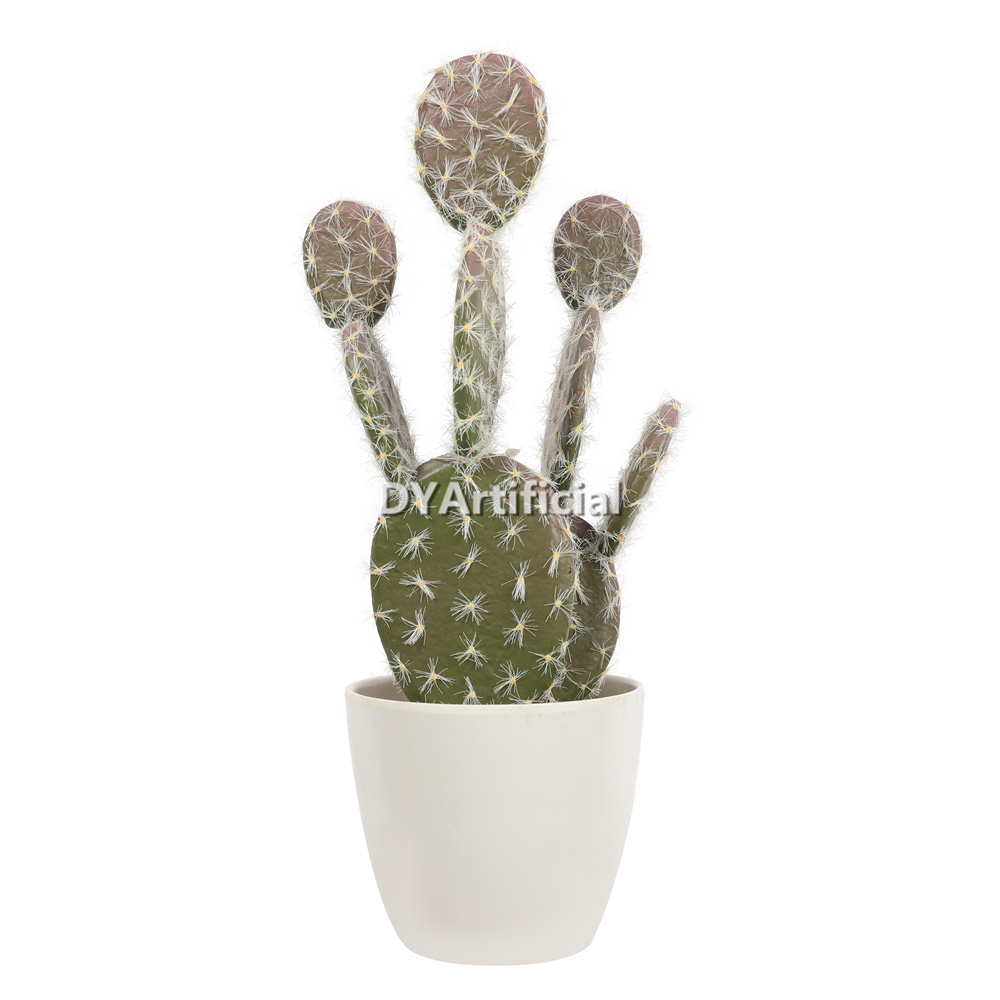 Cactus 34CM Height Indoor