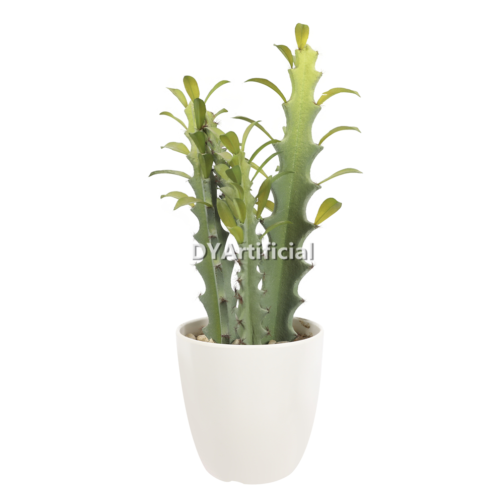 Cactus 34CM Height Indoor