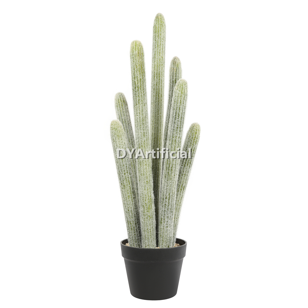 Cactus 77CM Height Indoor