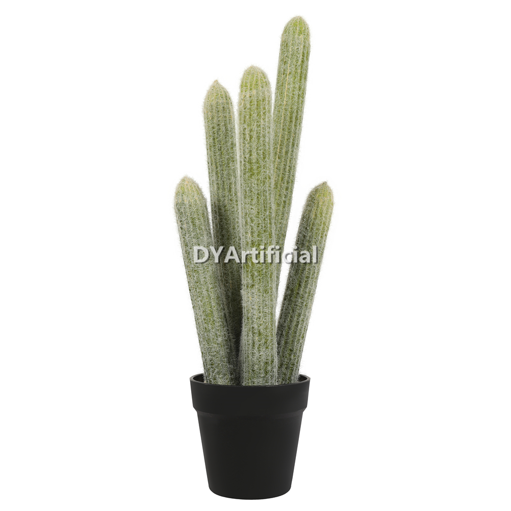 Cactus 55CM Height Indoor