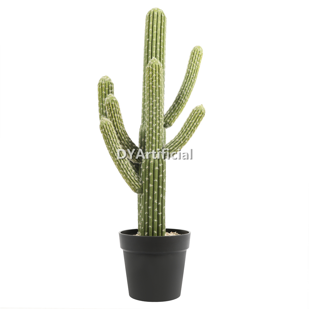 Cactus 84CM Height Indoor