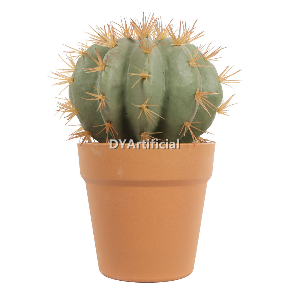 Cactus Balls 25CM Height Indoor