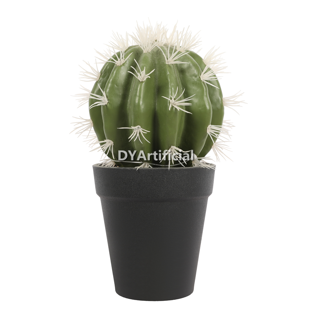 Cactus Balls 20CM Height Indoor