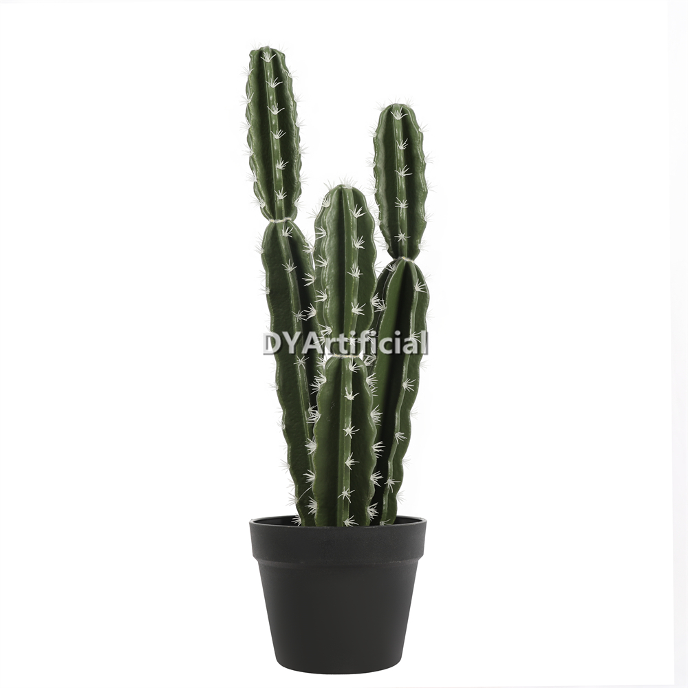 Cactus 65CM Height Indoor