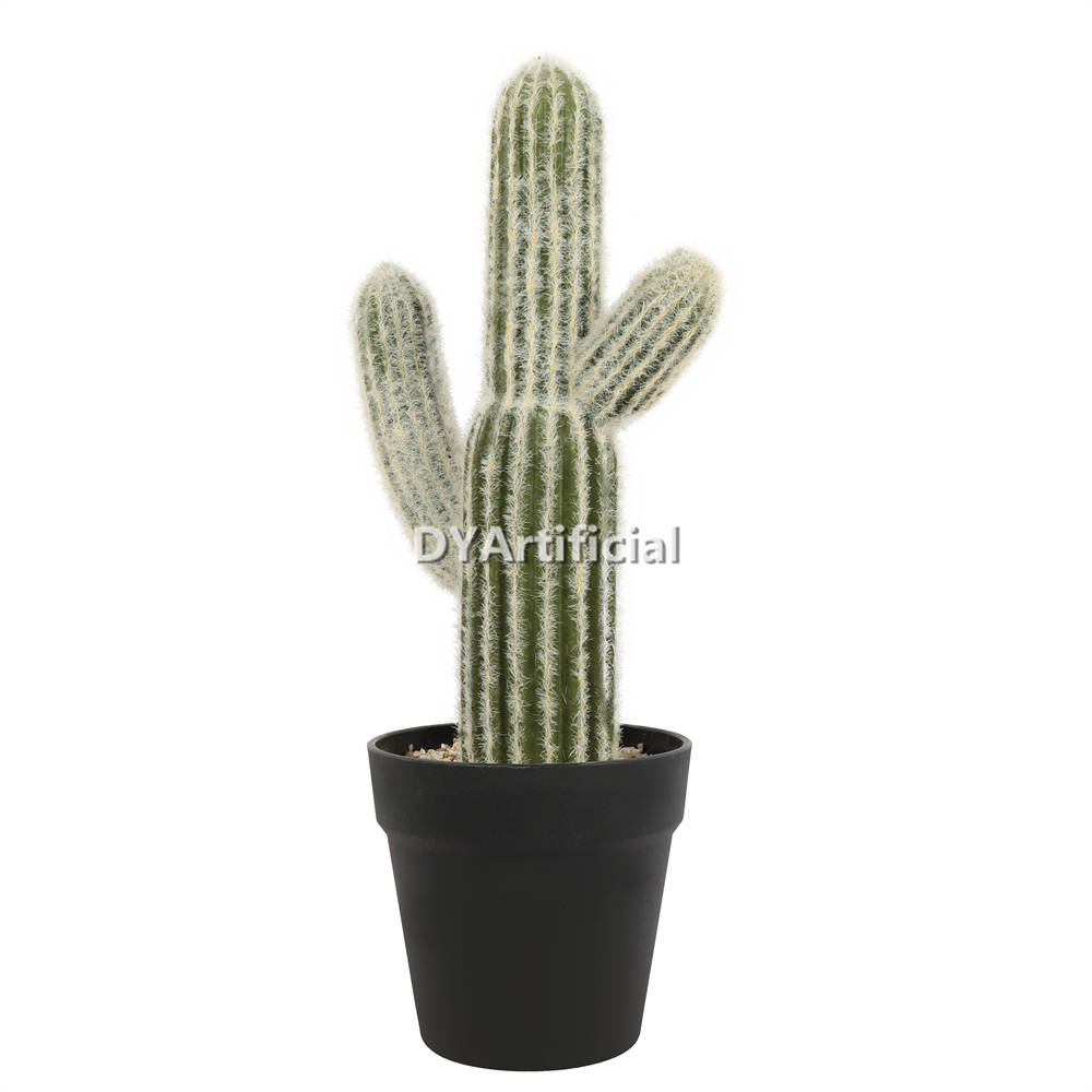 Cactus 42CM Height Indoor