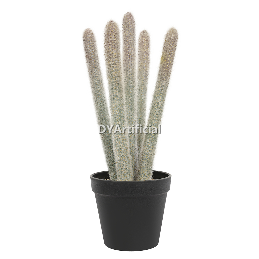Luffa Sticks In Plastic Pot 36CM Height Indoor