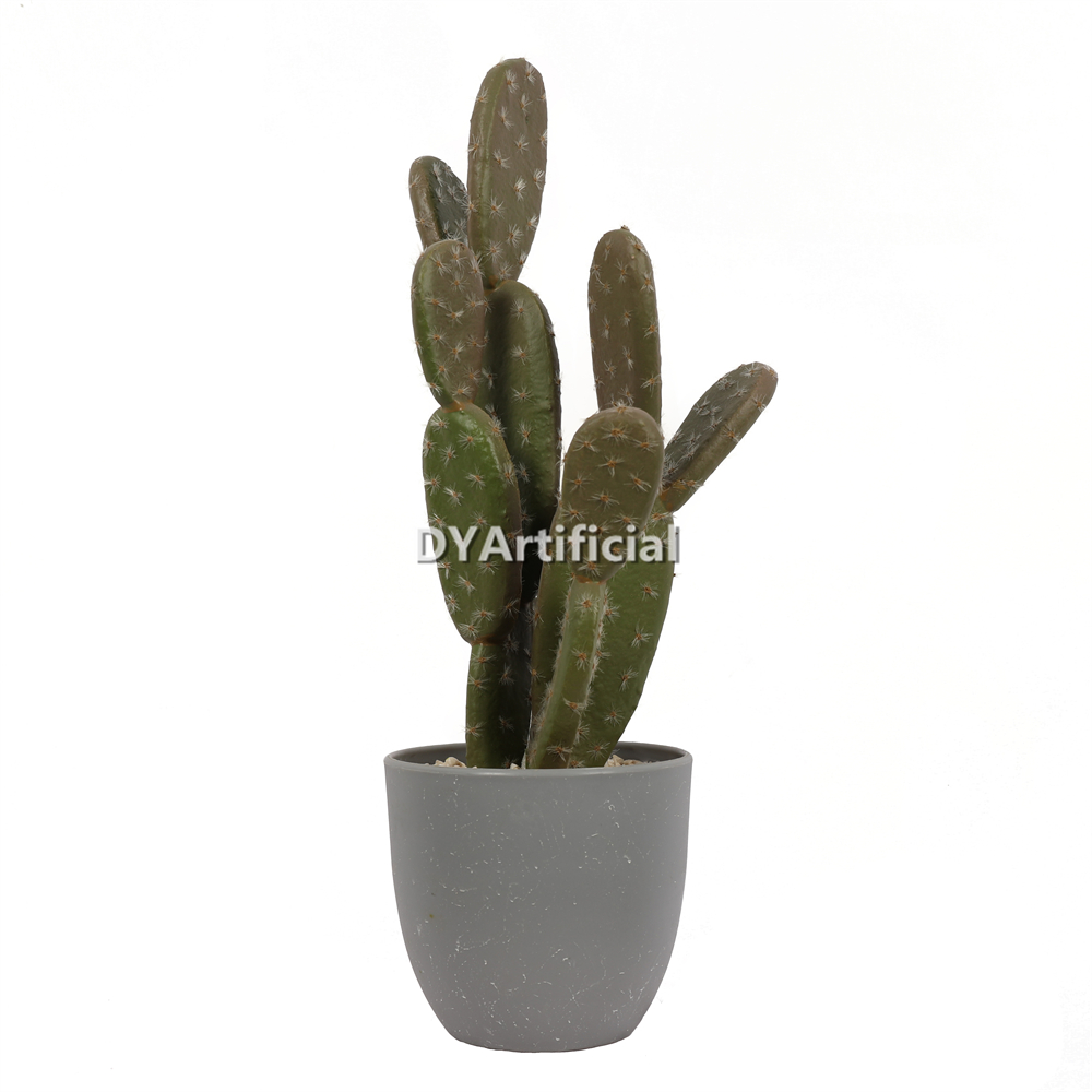 4# Cactus In Plastic Pot 37.5CM Height Indoor