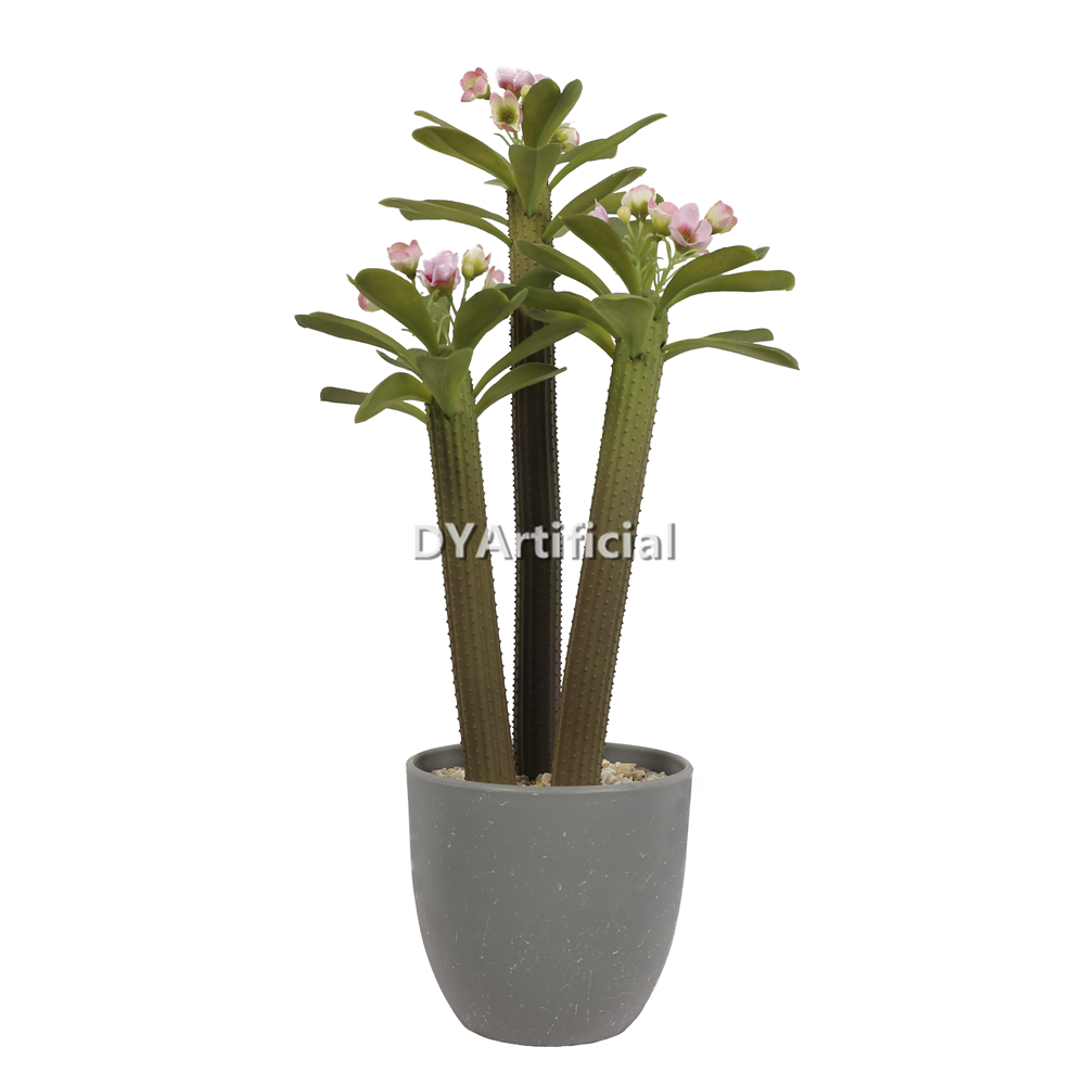 4# Cactus With Pink Flower In Plastic Pot 38CM Height Indoor