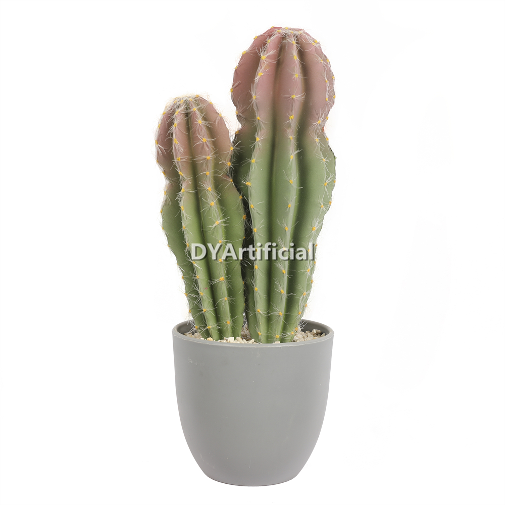 M# Cactus In Plastic Pot 31CM Height Indoor