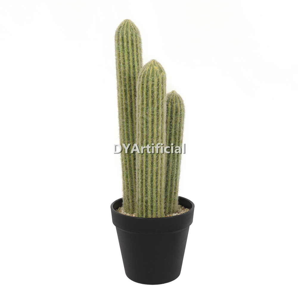 Cactus 3 Trunks 38CM Height Indoor