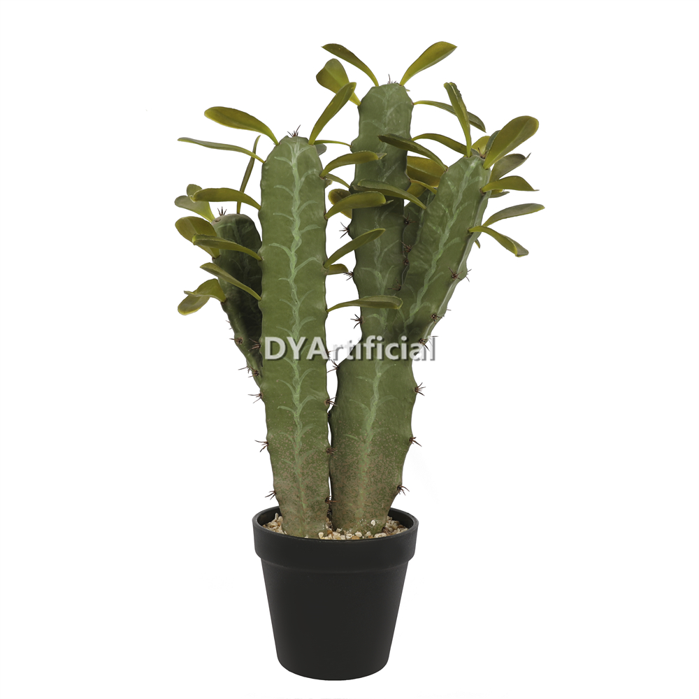 Cactus With Plastic Pot 48CM Height Indoor