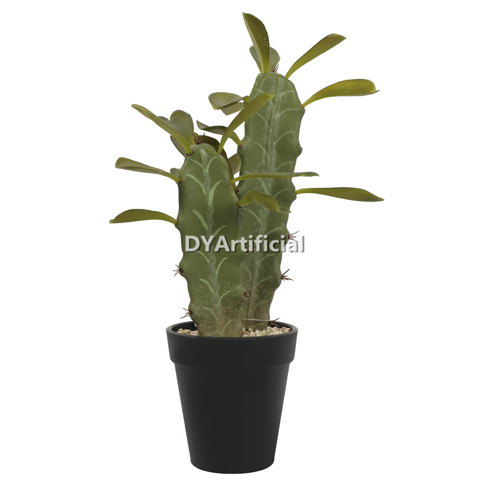 Cactus With Plastic Pot 32CM Height Indoor JPG