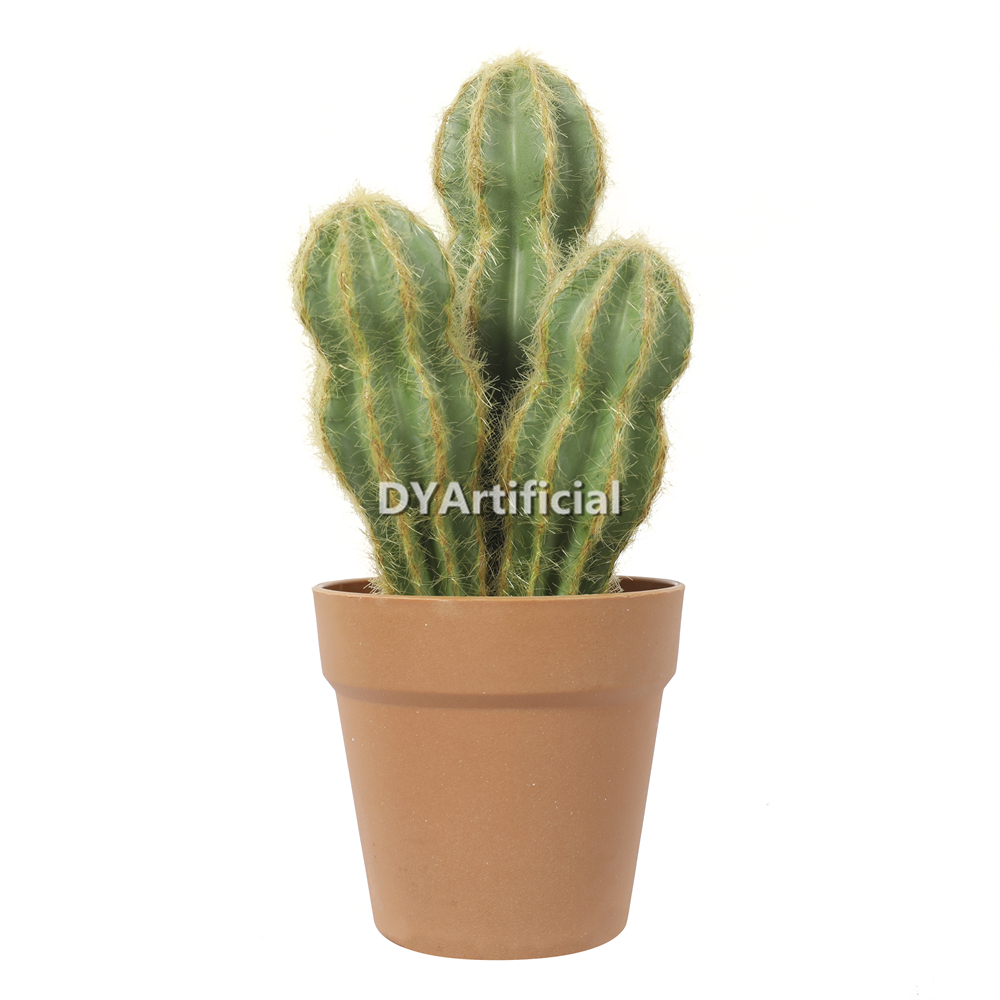 Cactus In Plastic Pot 33.5CM Height Indoor