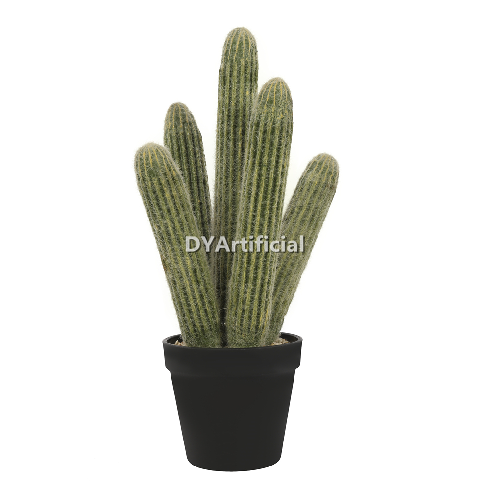 Cactus With Plastic Pot 39CM Height Indoor