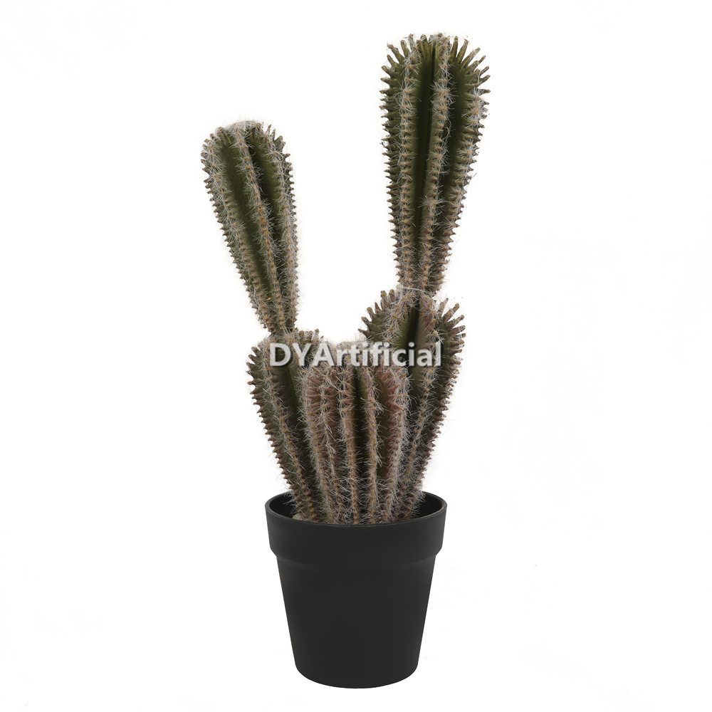 M Cactus In Plactic Pot 48.75CM Height Indoor