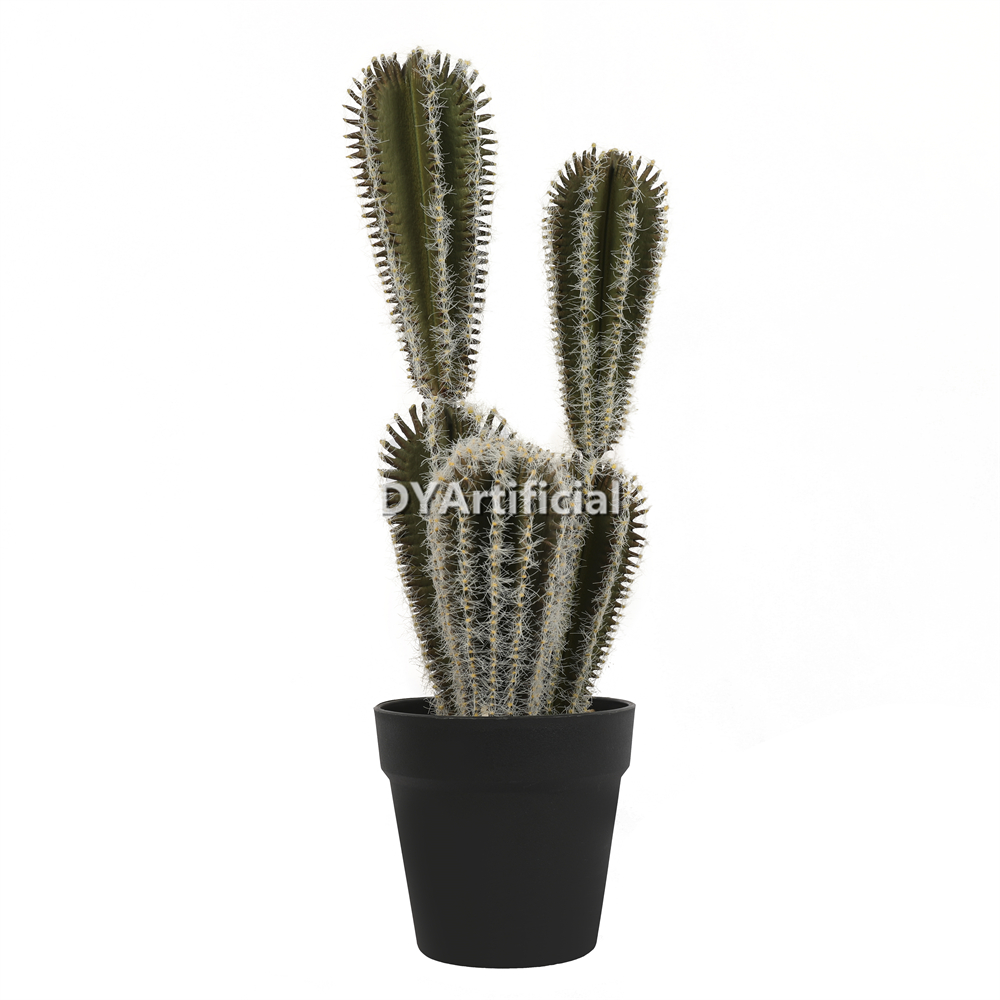 M Cactus In Plactic Pot 48.75CM Height Indoor