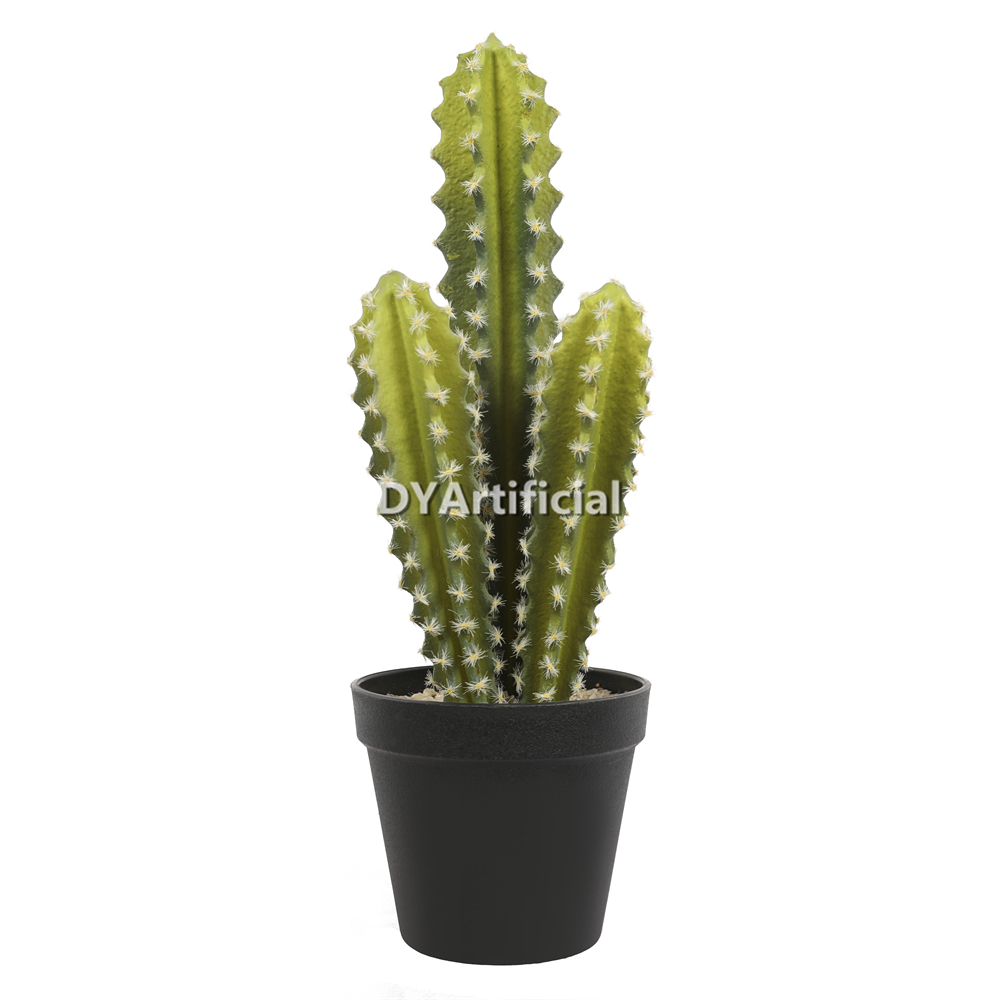 Cactus In Plastic Pot 39CM Height Indoor