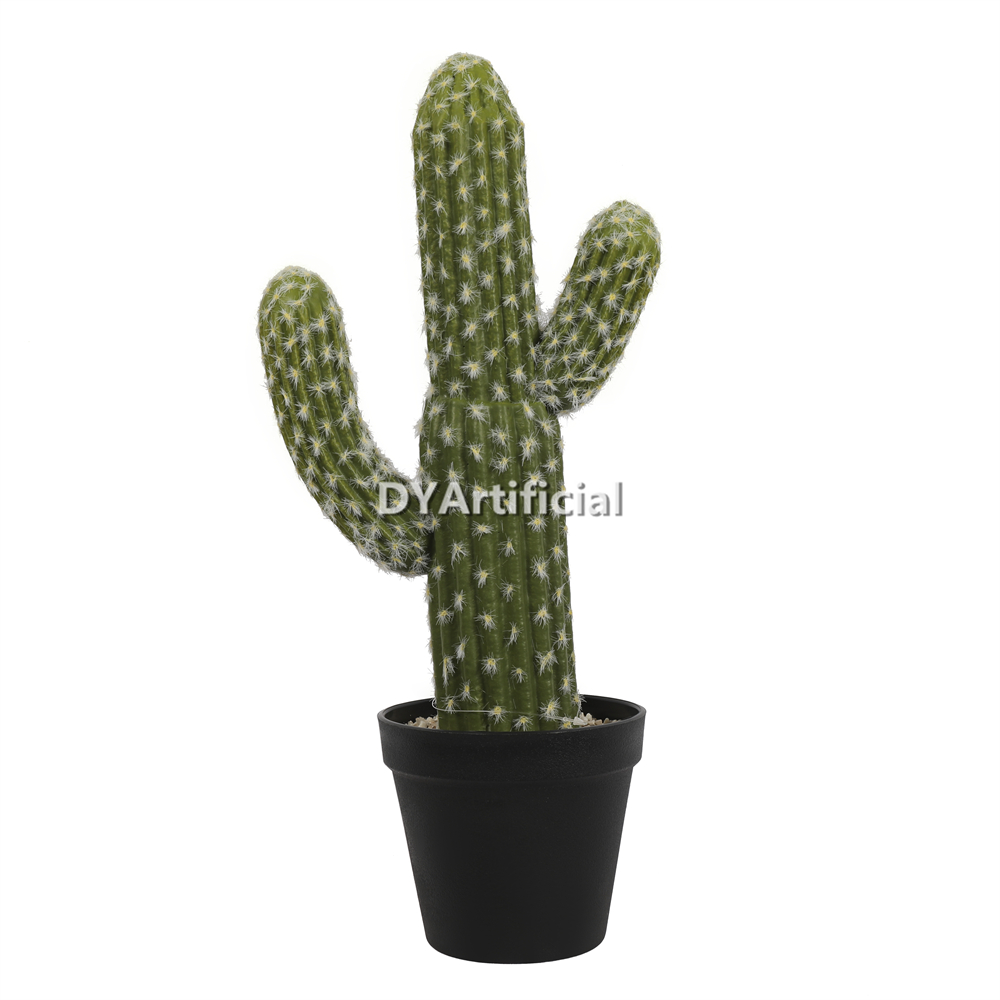Cactus With Plastic Pot 41CM Height Indoor