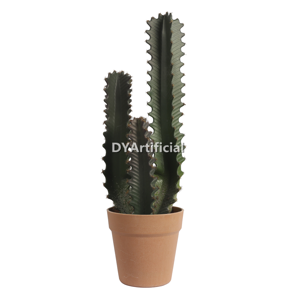 Cactus In Plastic Pot 50CM Height Indoor