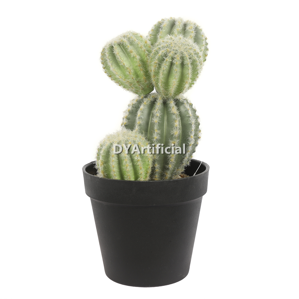 Cactus Ball In Plastic Pot 26CM Height Indoor