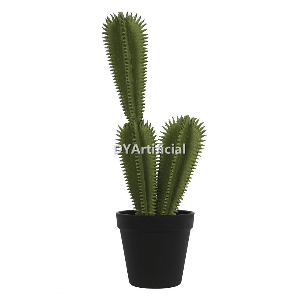 Cactus In Plastic Pot 39CM Height Indoor