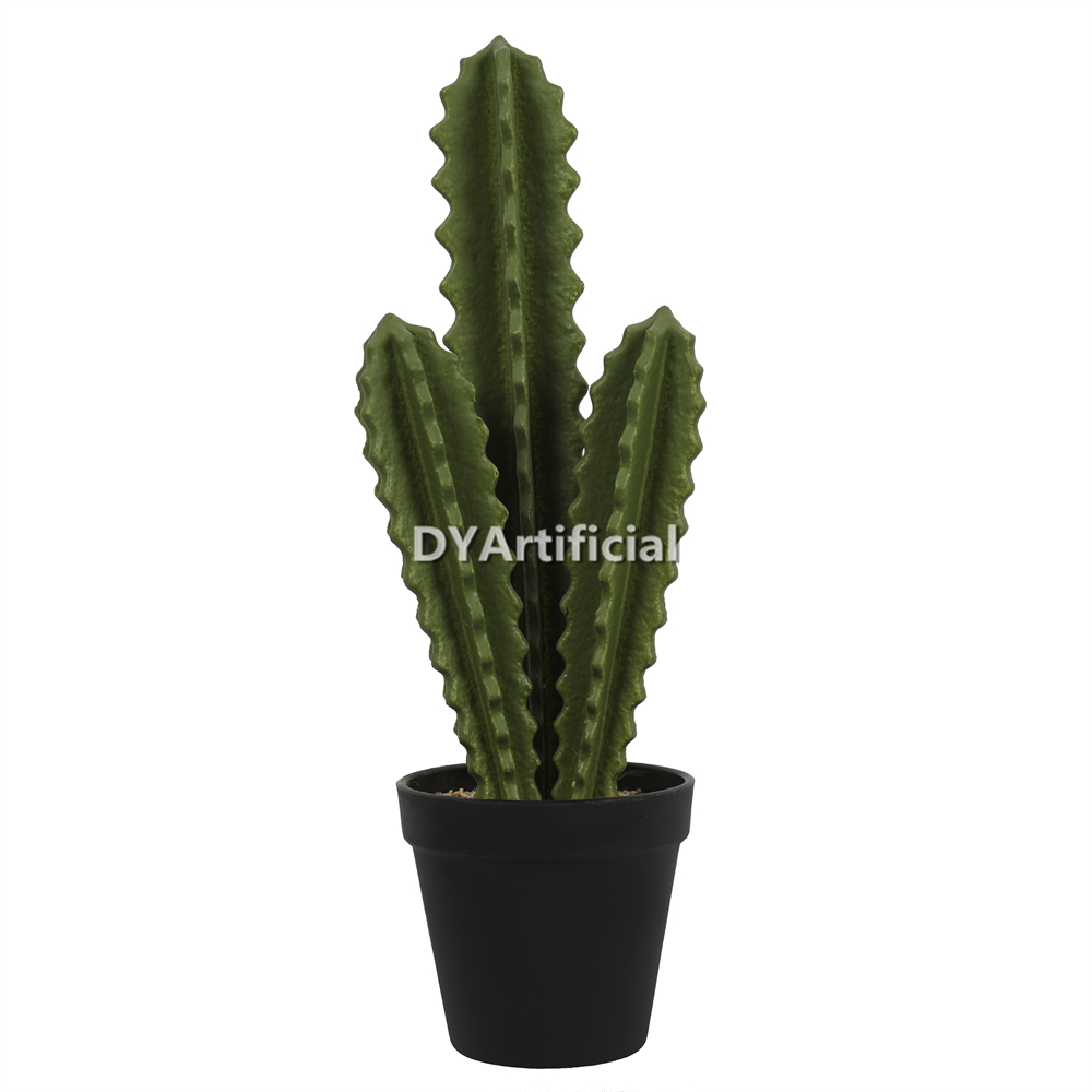 Cactus In Plastic Pot 37.5CM Height Indoor