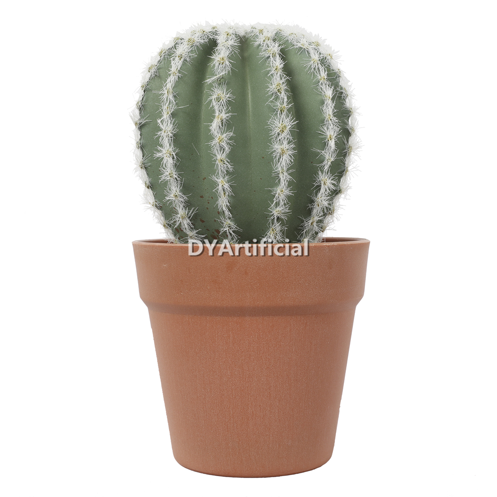 Cactus In Plastic Pot H25.5cm 22.5CM Height Indoor