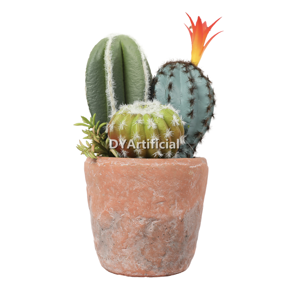 Cactus In Cement Pot 22.5CM Height Indoor
