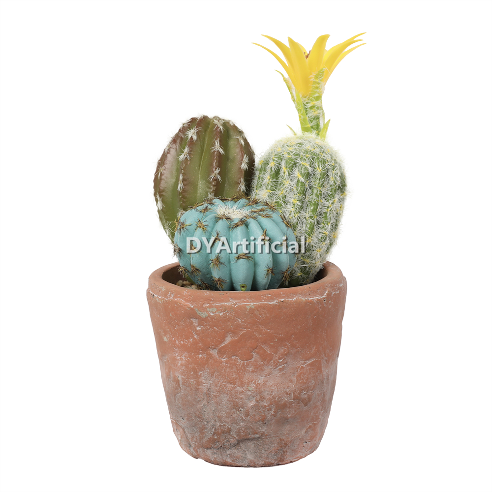 Cactus In Cement Pot 22.5CM Height Indoor
