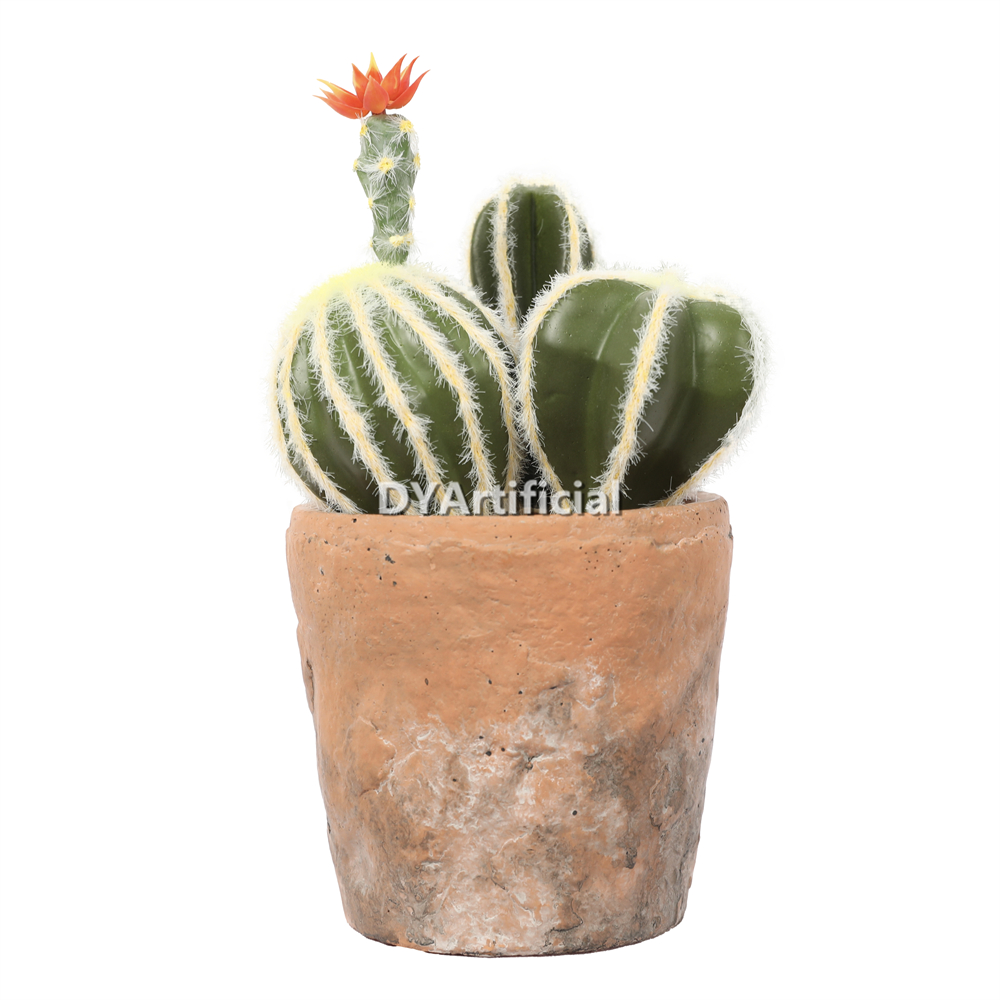 Cactus In Cement Pot 21CM Height Indoor