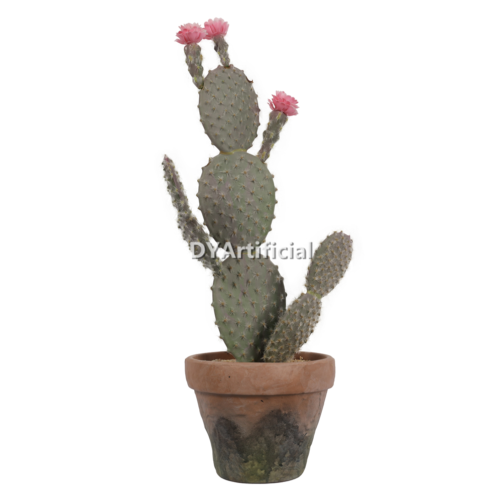 Cactus In Eva Pot 45CM Height Indoor