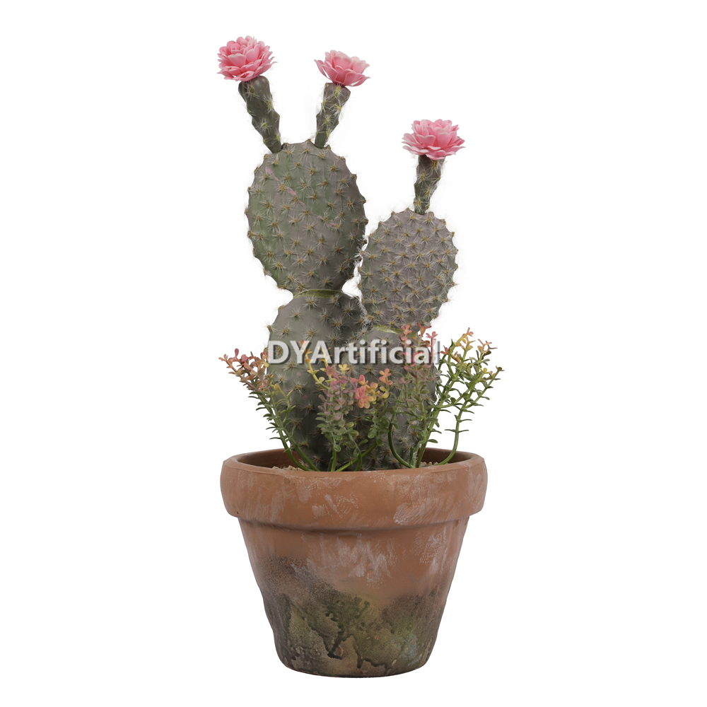 Cactus In Eva Pot 37CM Height Indoor