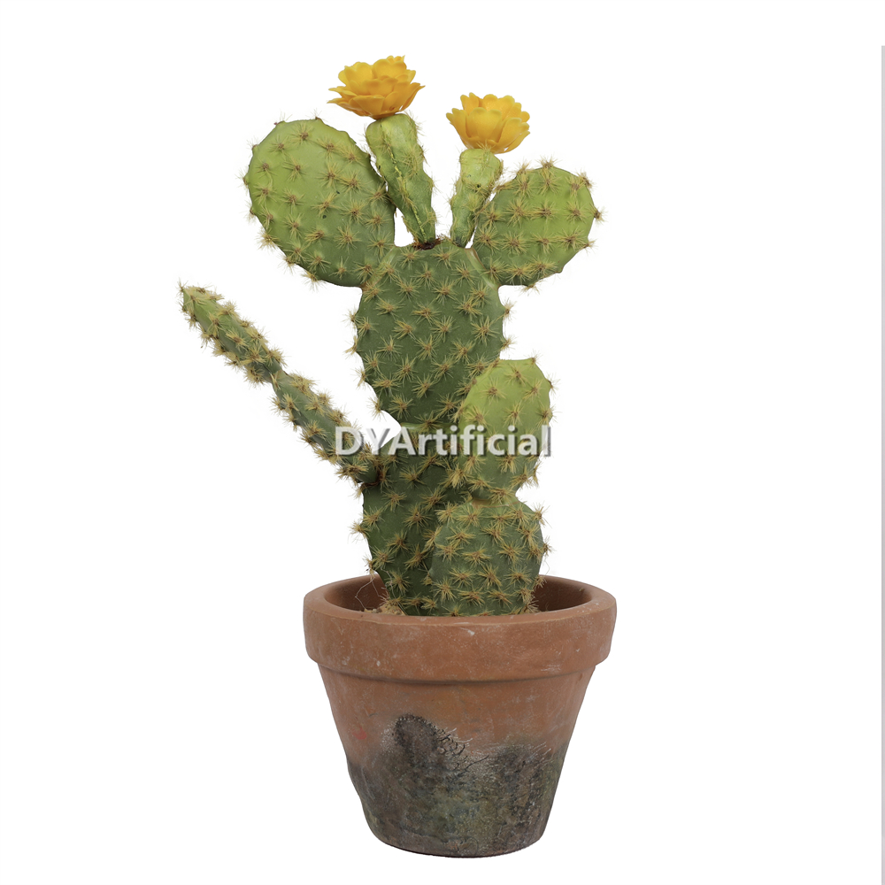 Cactus In Eva Pot 27CM Height Indoor