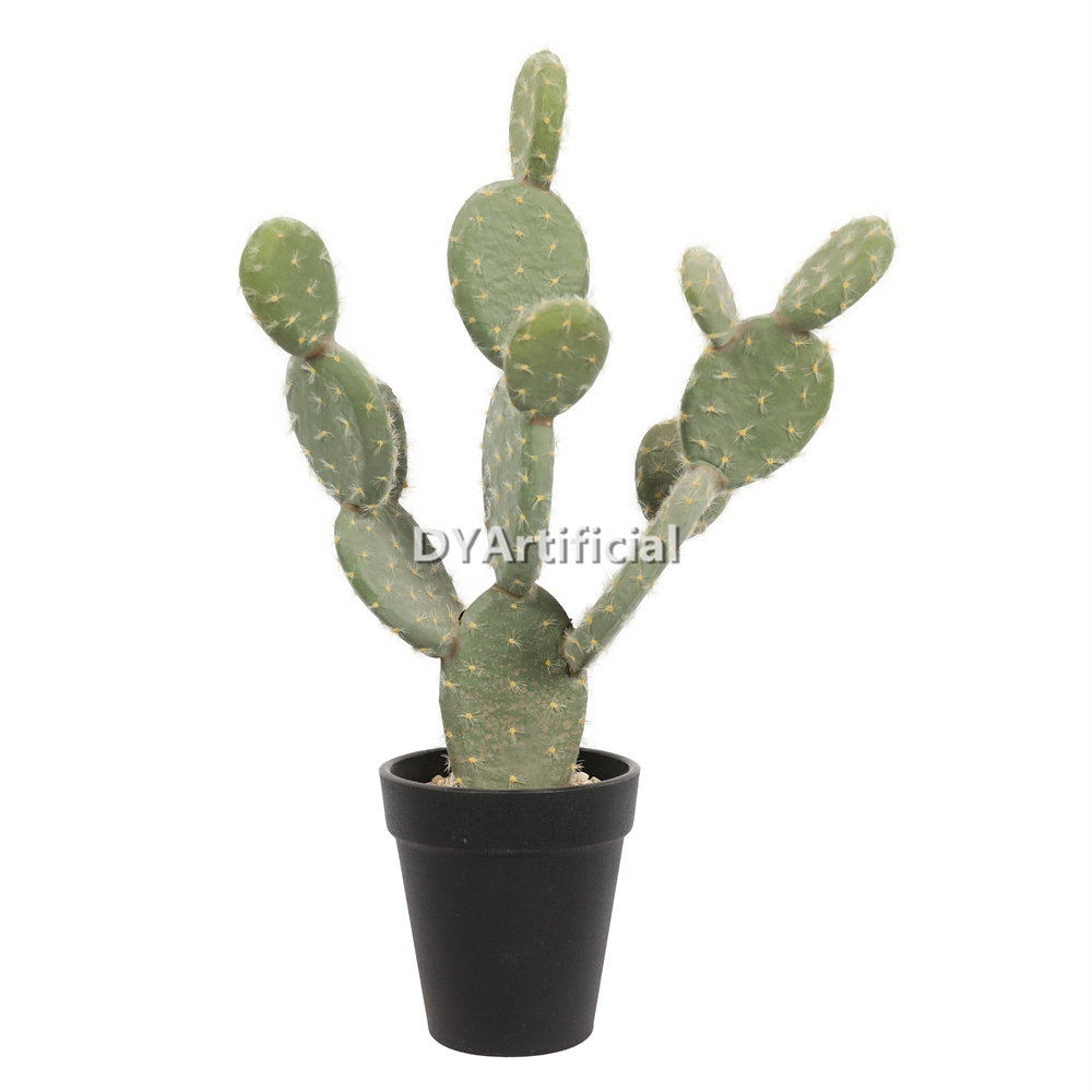 Cactus With Plastic Pot 35CM Height Indoor